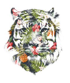 tropical tiger