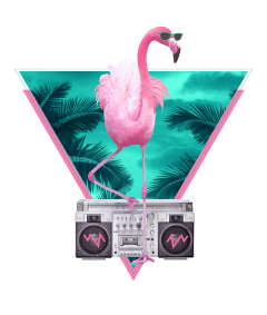 miami flamingo