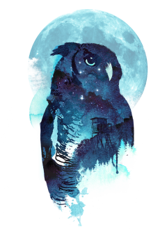 midnight owl