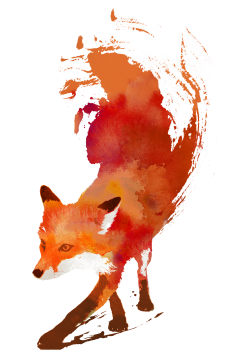 vulpes vulpes